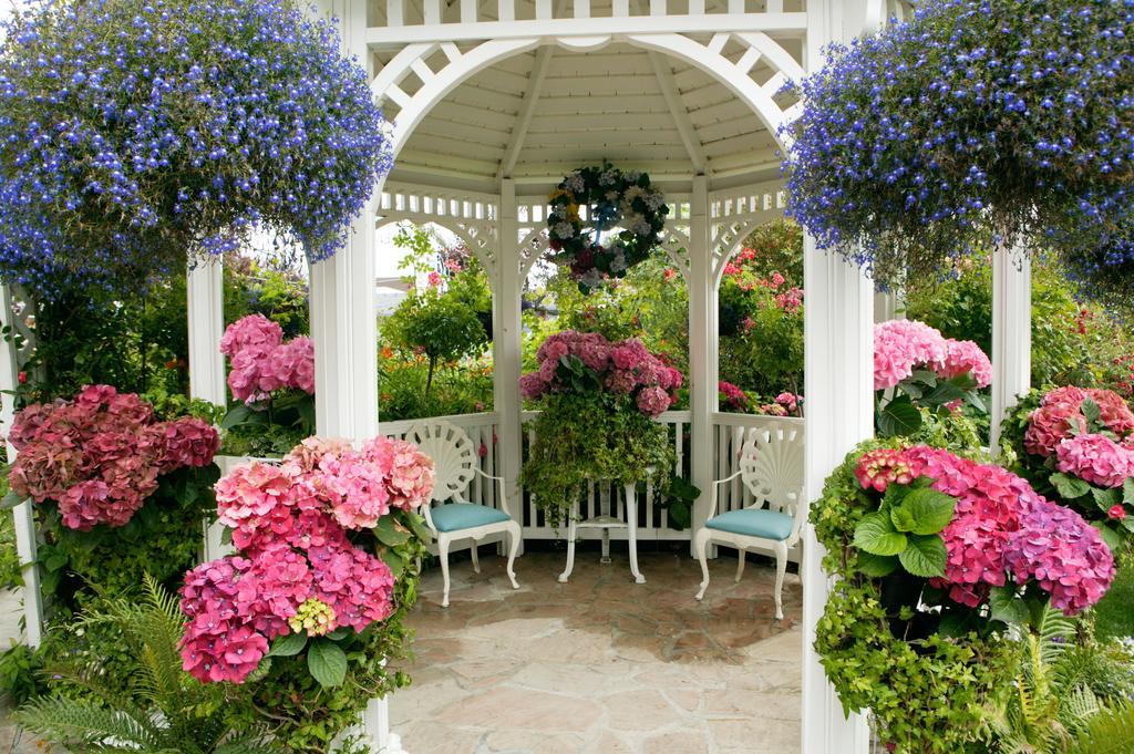 Mill Rose Bed & Breakfast 4*