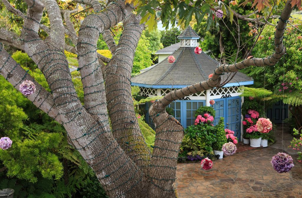 Mill Rose Bed & Breakfast Half Moon Bay